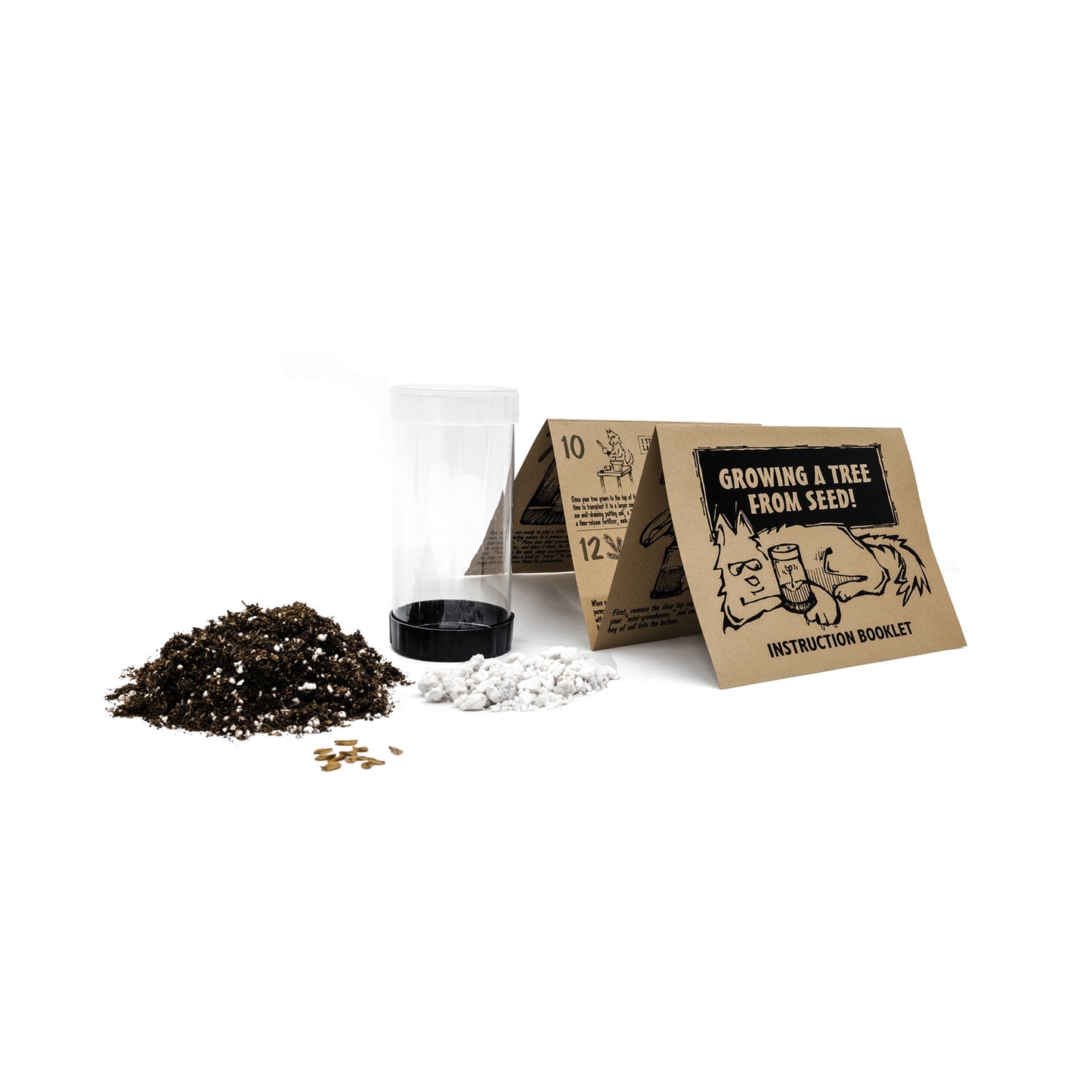 Bonsai Tree | Seed Grow Kit