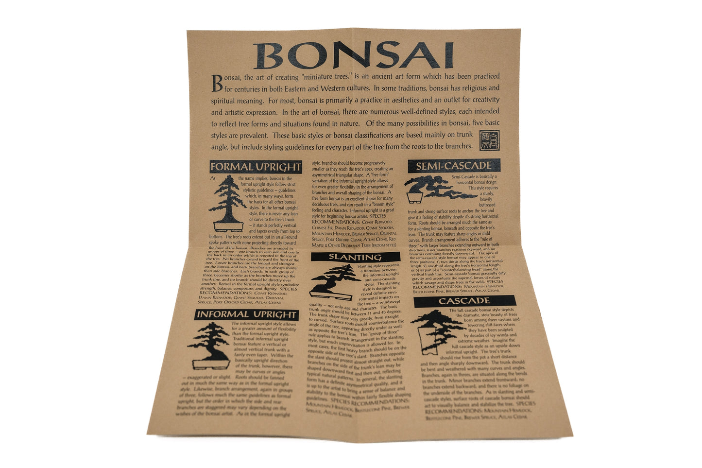 Bonsai Tree | Seed Grow Kit