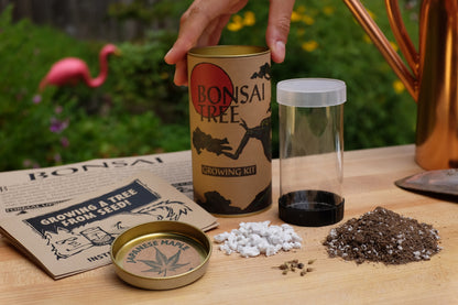 Bonsai Tree | Seed Grow Kit